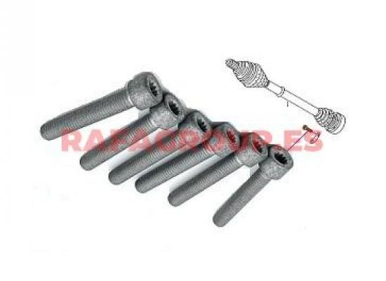 RGN91108201 - Tornillo, palier